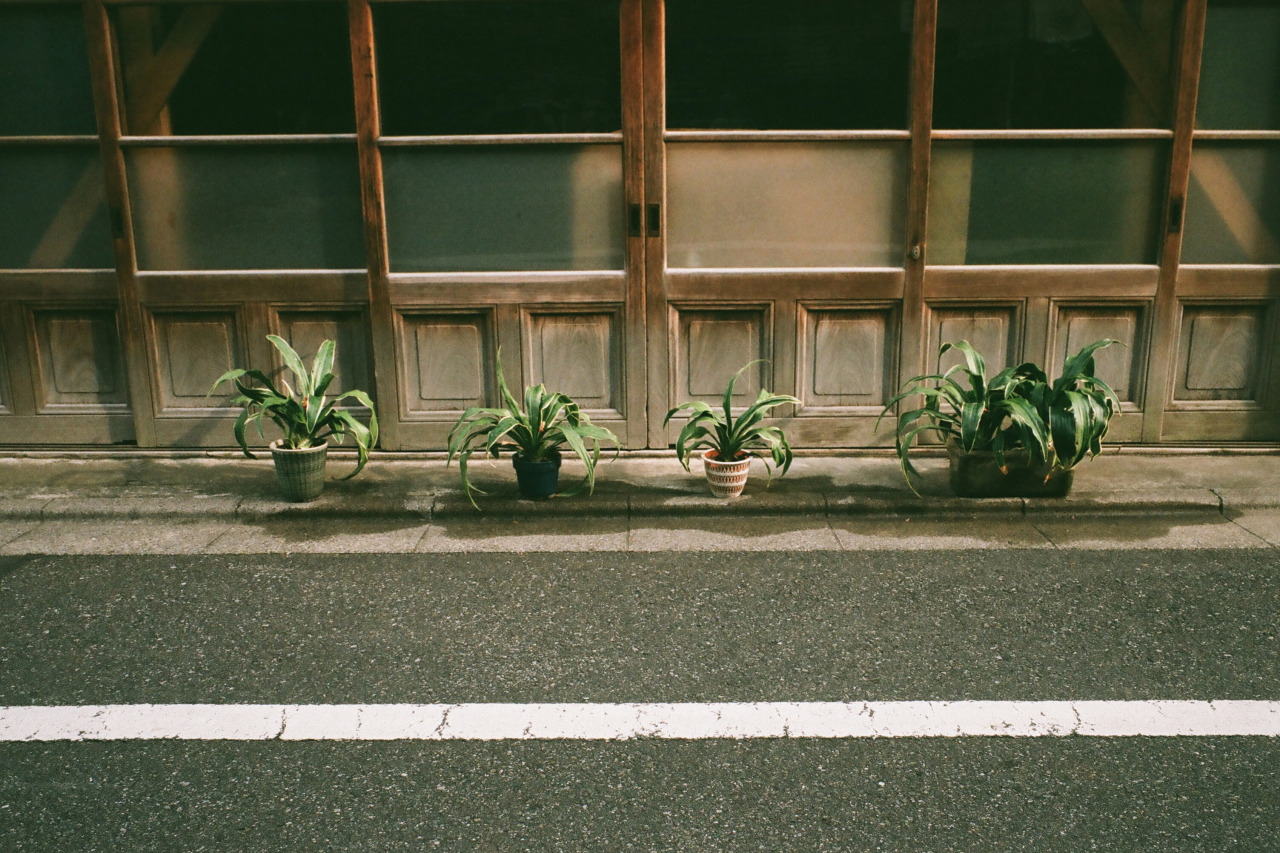 Archillect ID 161126
