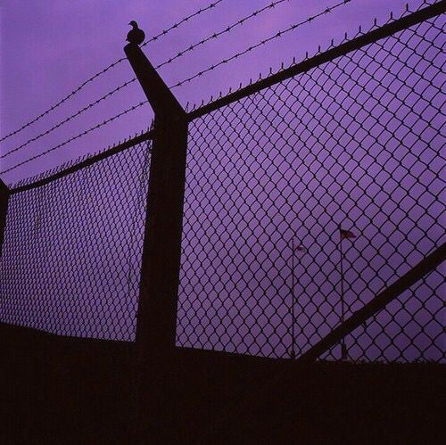 Archillect ID 161761
