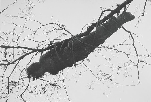 Archillect ID 162971