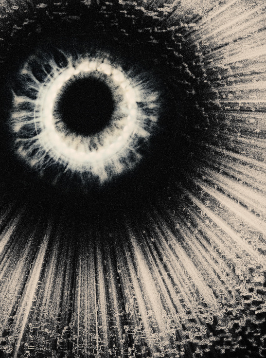 Archillect ID 163112