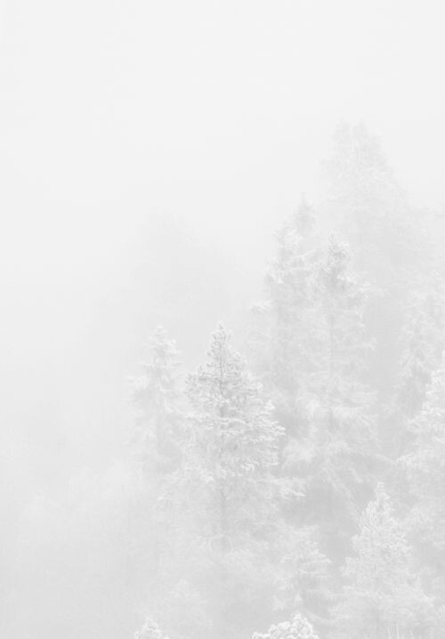 Archillect ID 163173