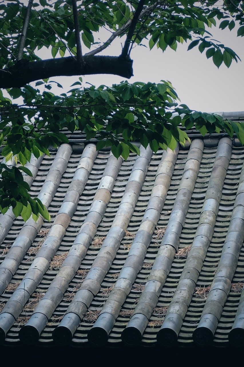 Archillect ID 163218