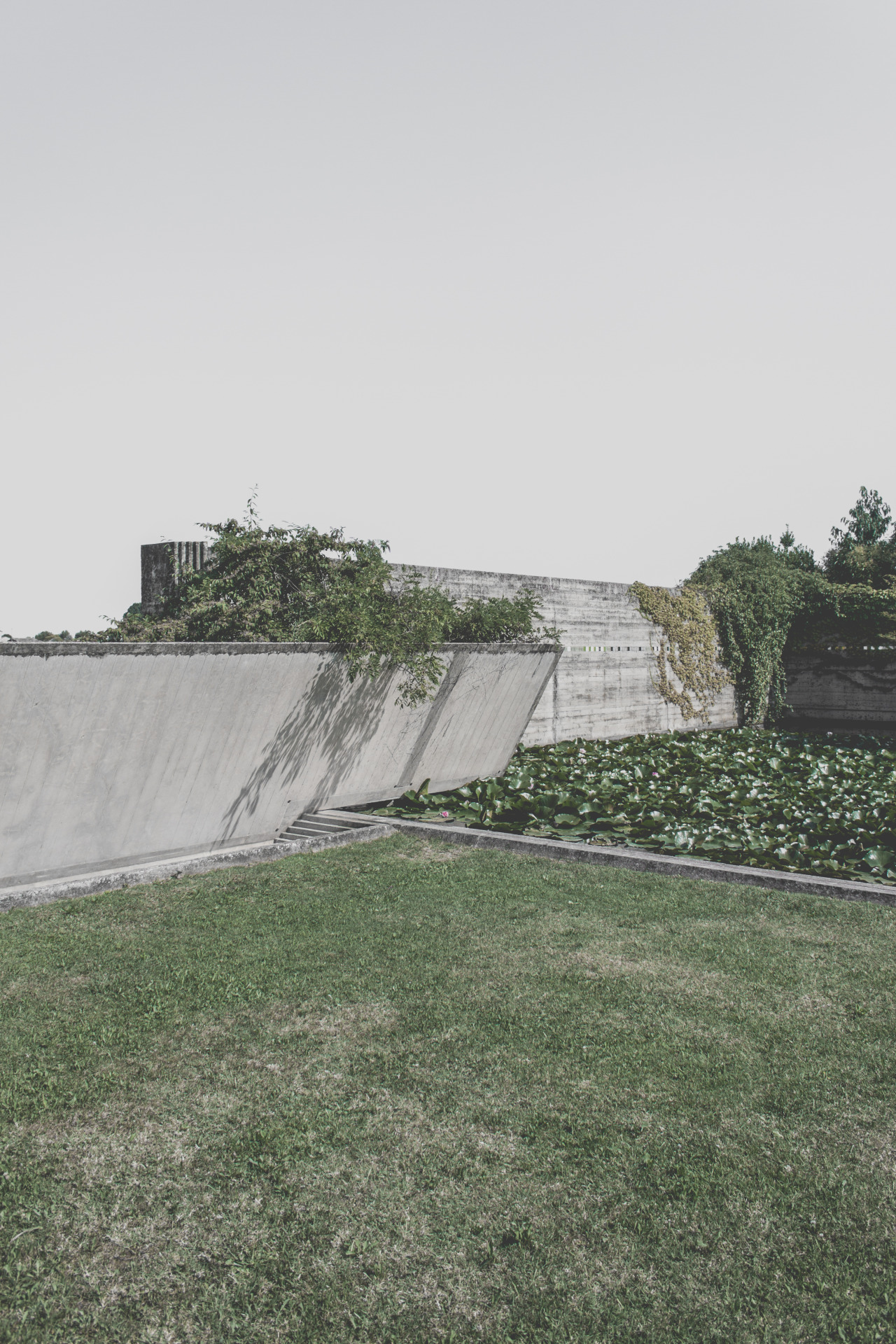 Archillect ID 163232