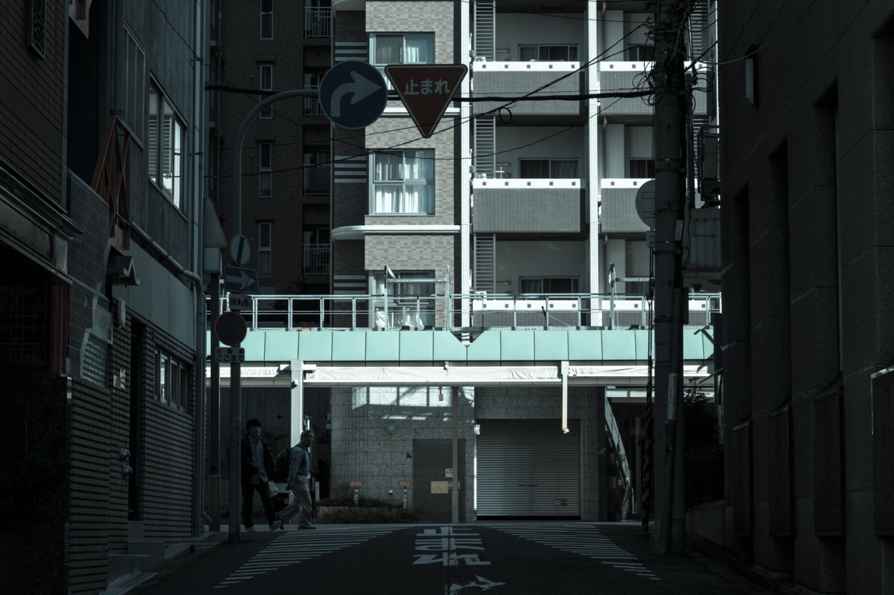Archillect ID 163557
