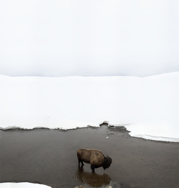 Archillect ID 163814