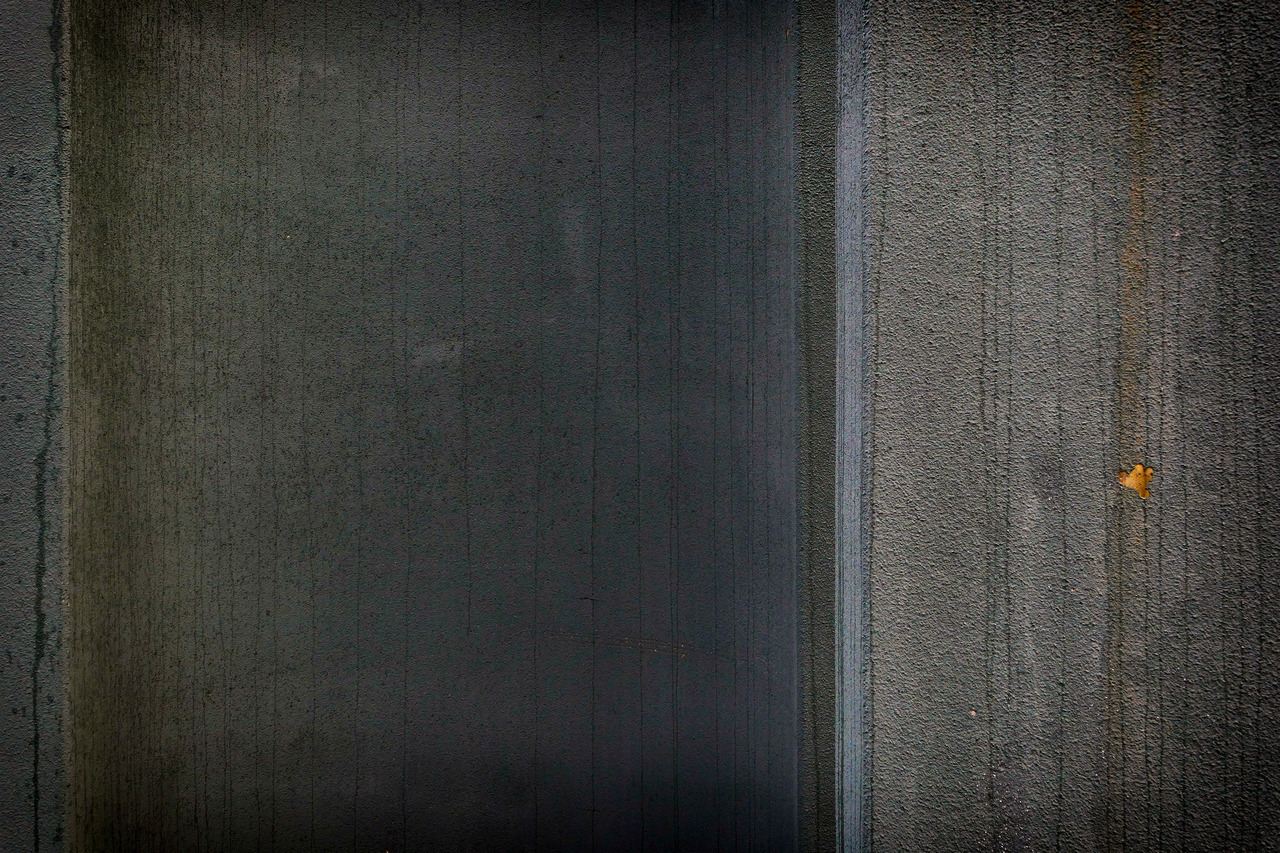 Archillect ID 163999
