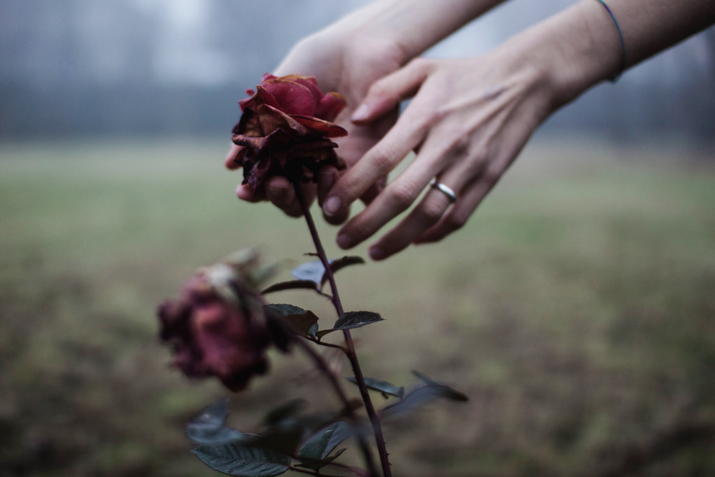Archillect ID 164016