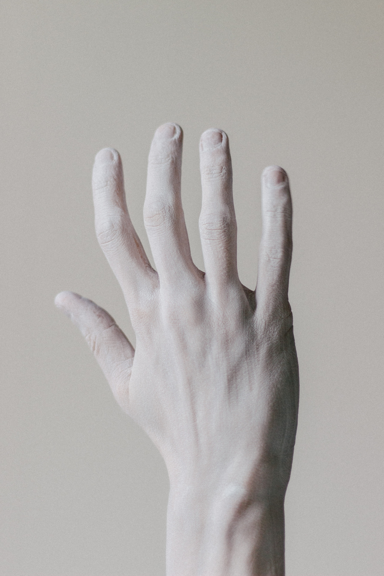 Archillect ID 164029