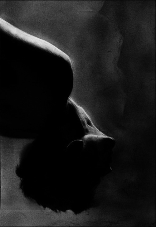 Archillect ID 164115