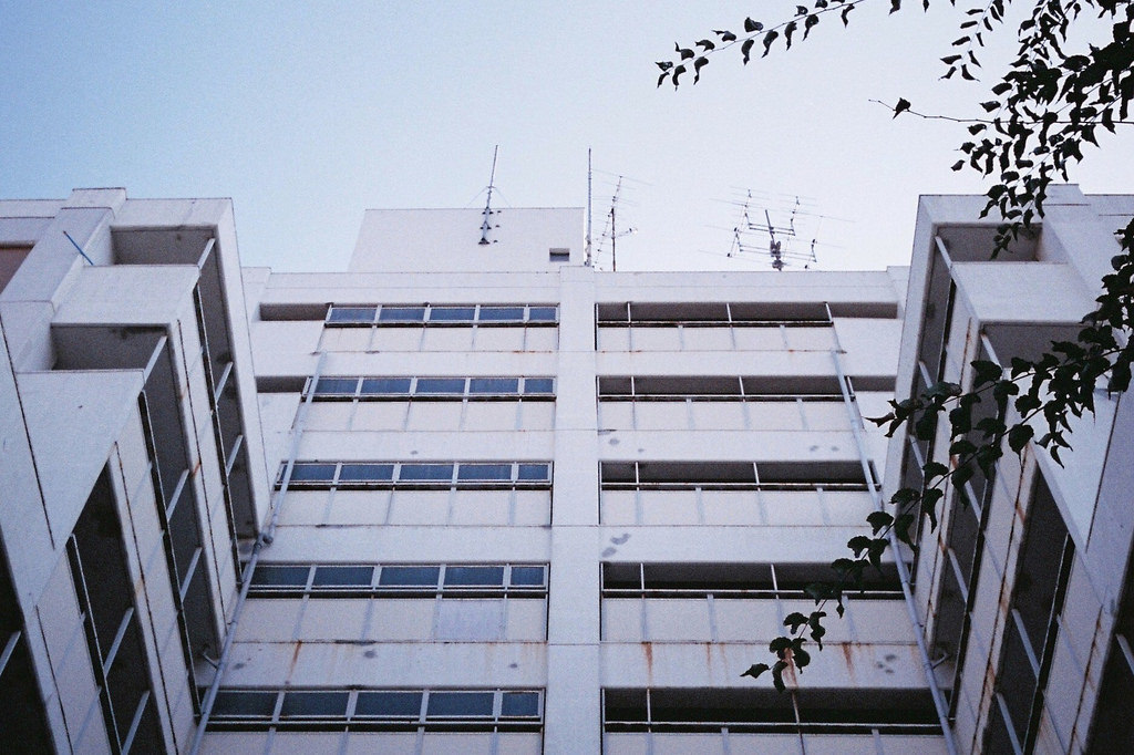 Archillect ID 164157