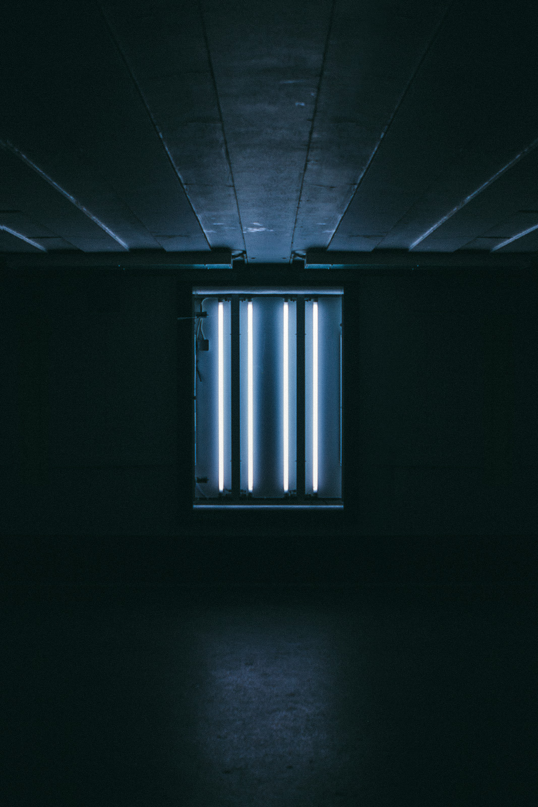 Archillect ID 164537