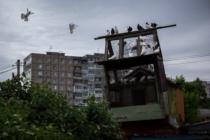 Archillect ID 164840