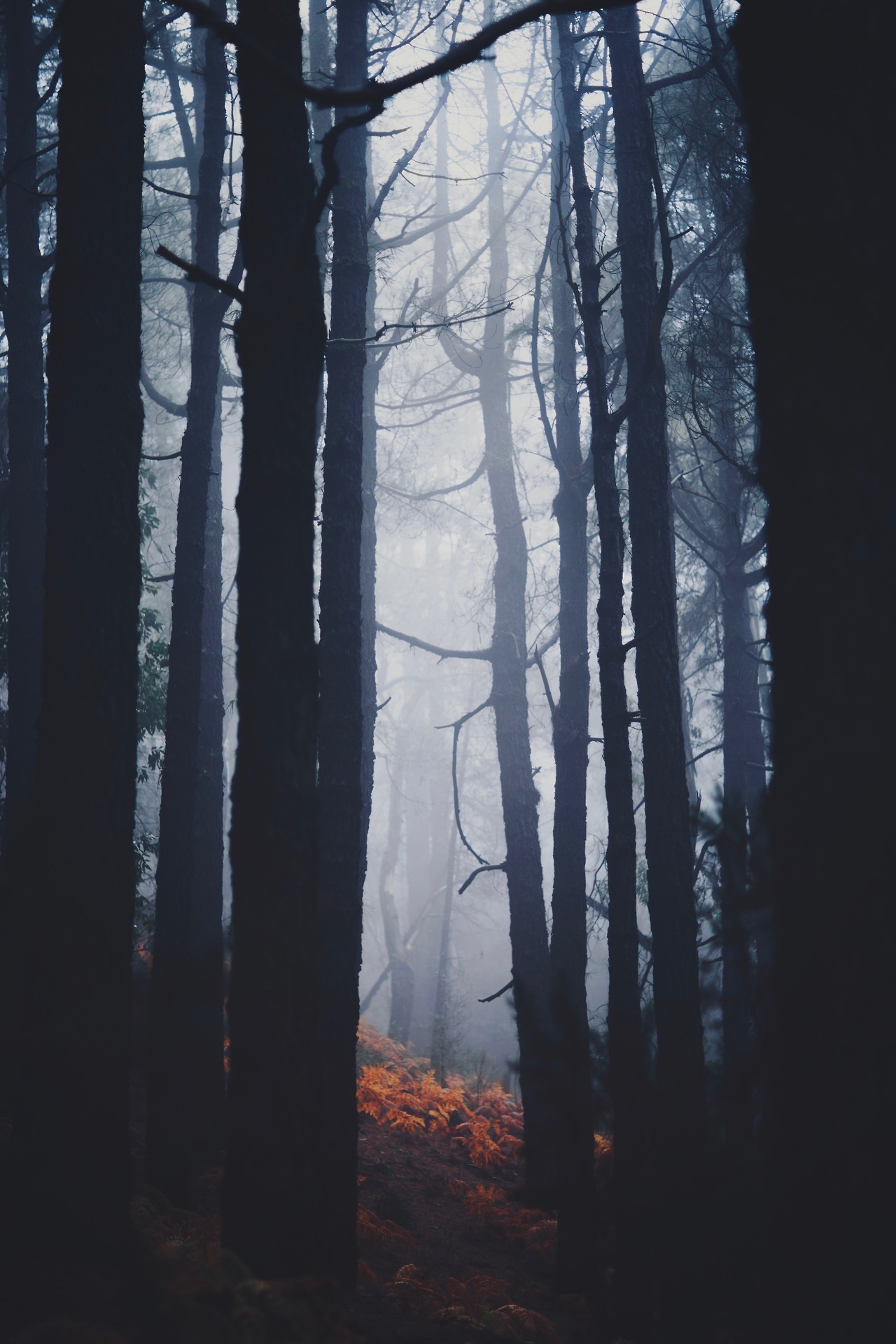 Archillect ID 165059