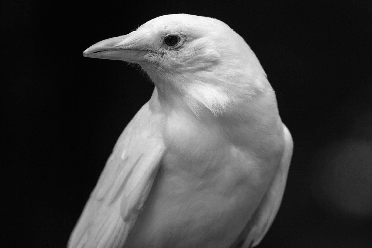 Archillect ID 165909