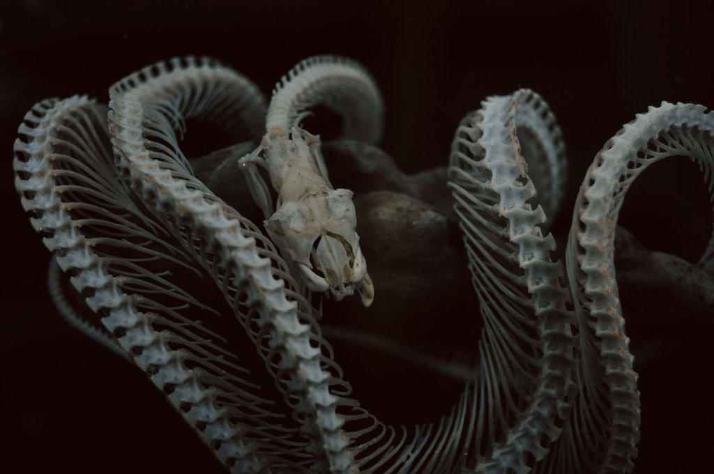 Archillect ID 166019