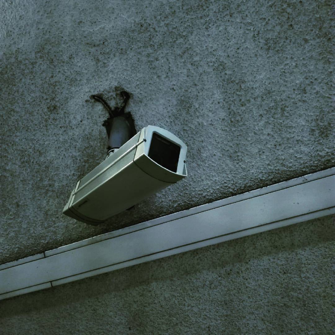 Archillect ID 166198