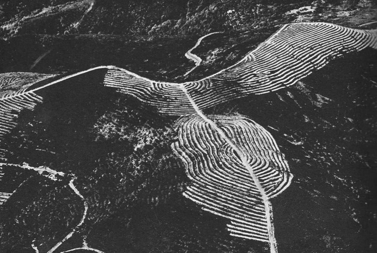 Archillect ID 166400