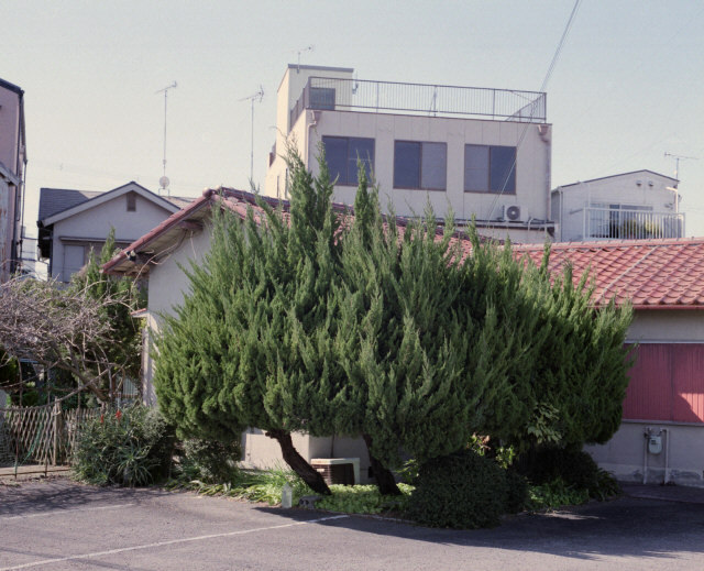 Archillect ID 166605
