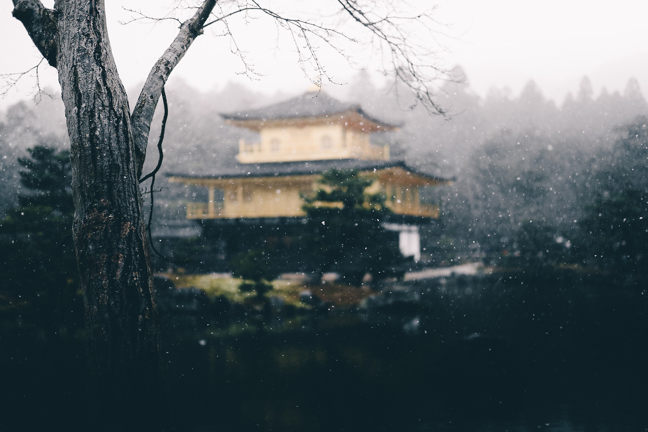 Archillect ID 167162