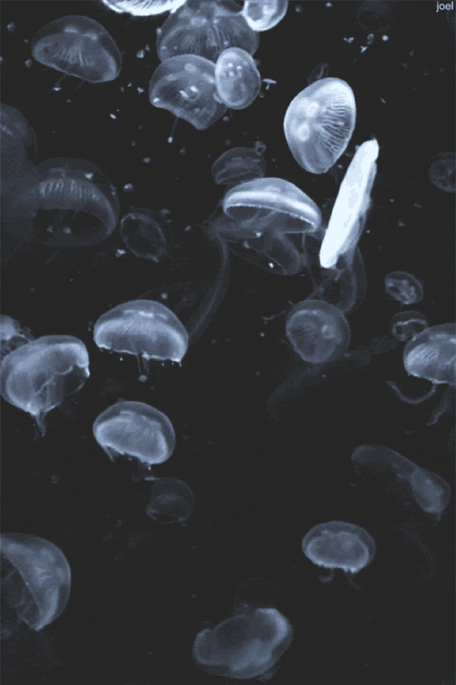 Archillect ID 167688
