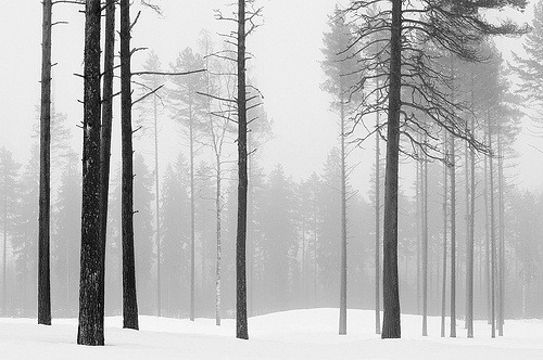 Archillect ID 167941