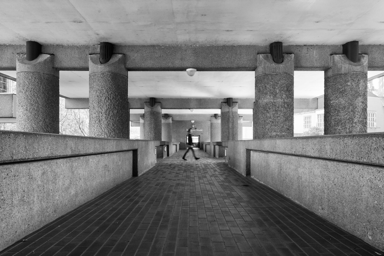 Archillect ID 167969