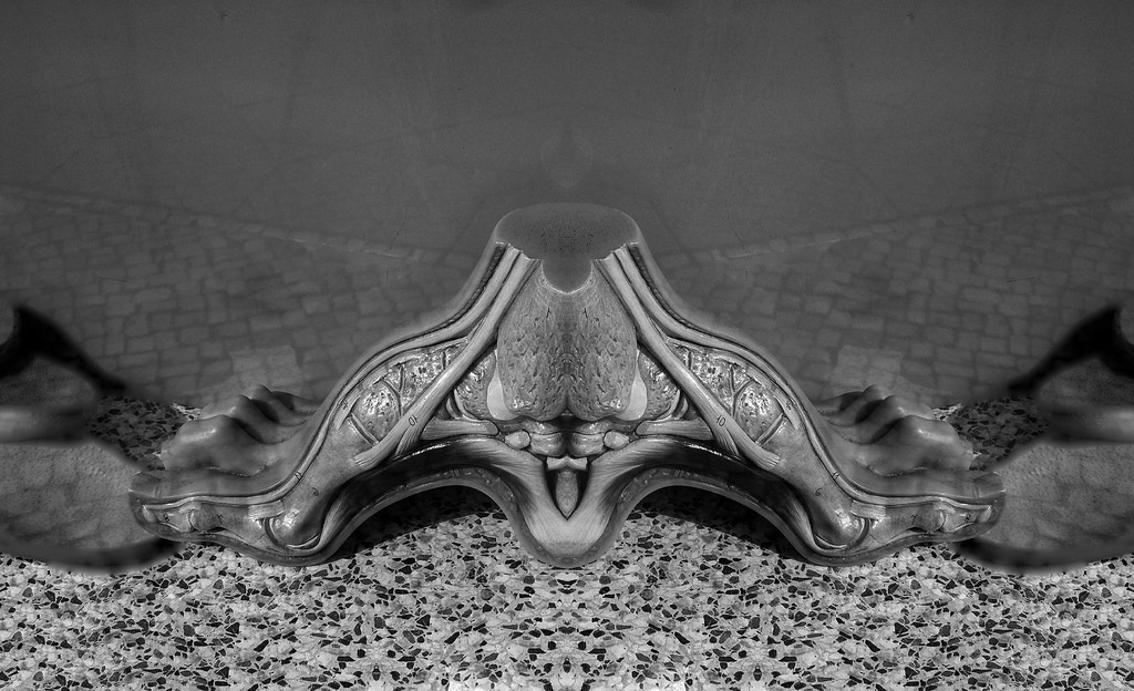 Archillect ID 168116