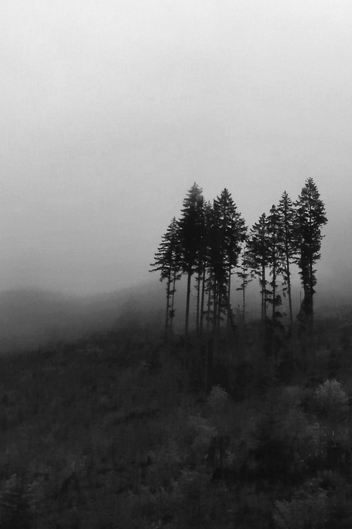 Archillect ID 168487