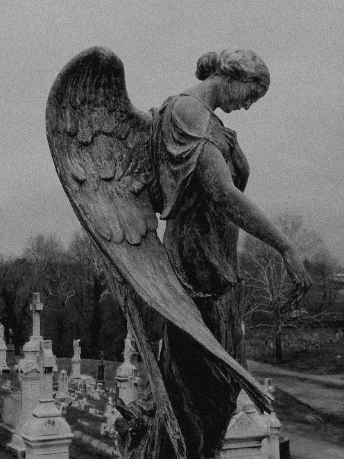 Archillect ID 168779