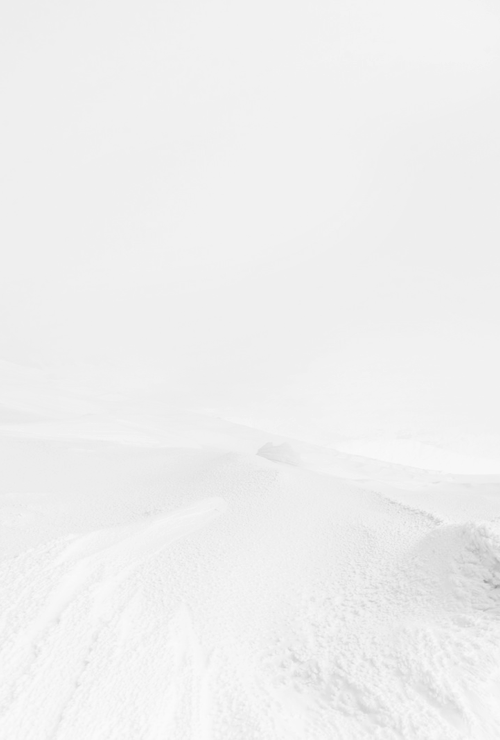 Archillect ID 168878