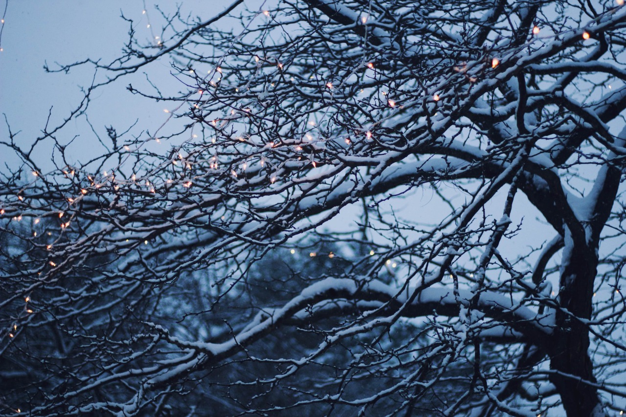 Archillect ID 168980