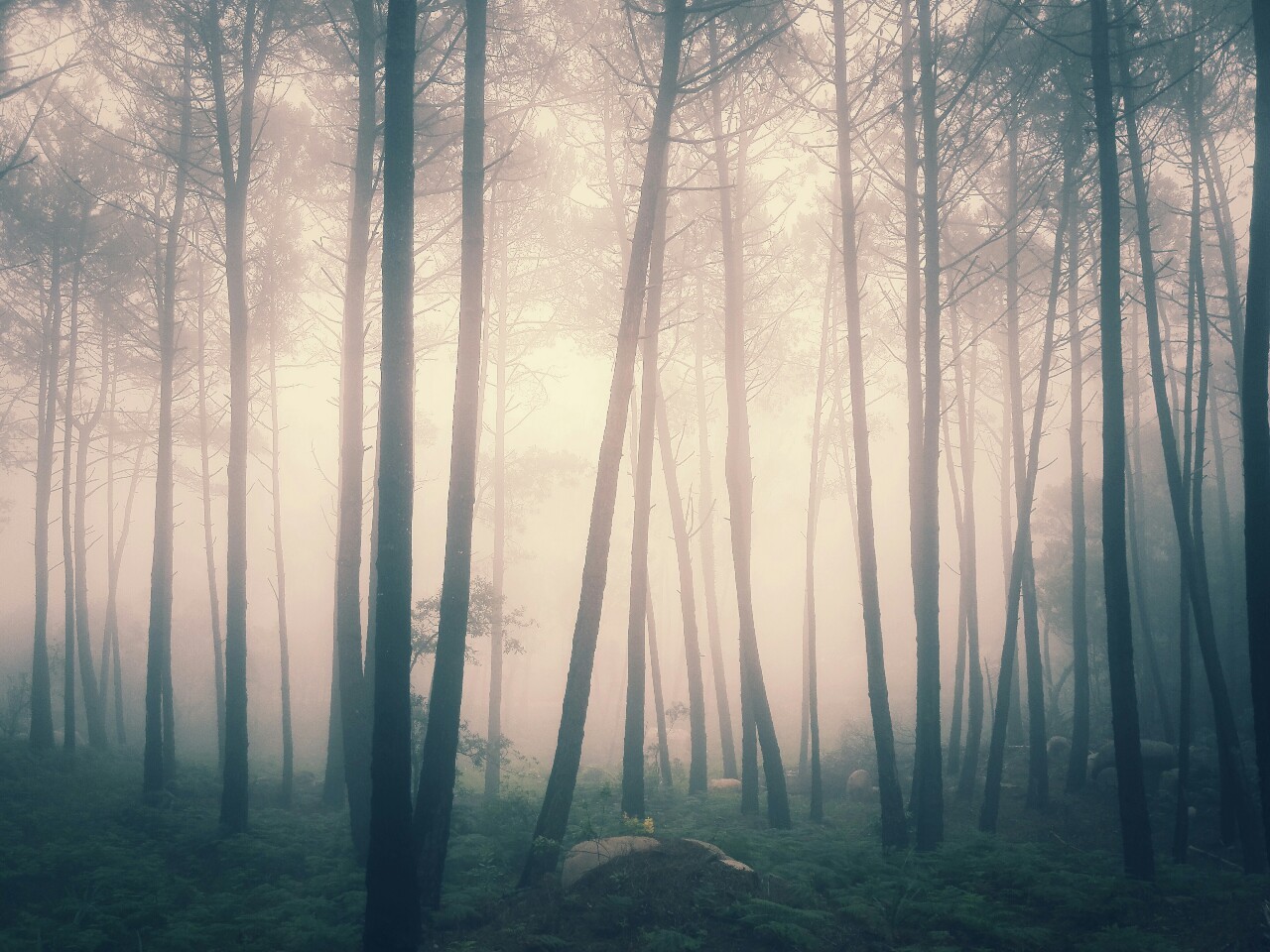 Archillect ID 169085