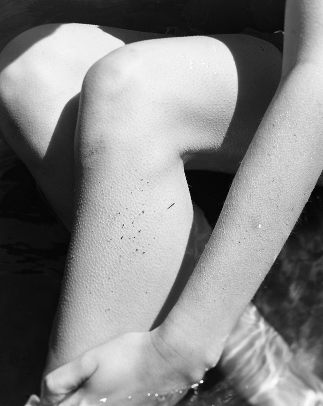 Archillect ID 169330