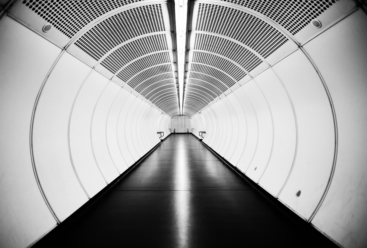 Archillect ID 169508