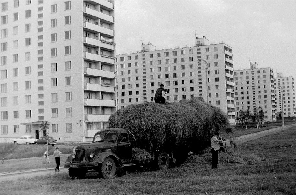 Archillect ID 169540