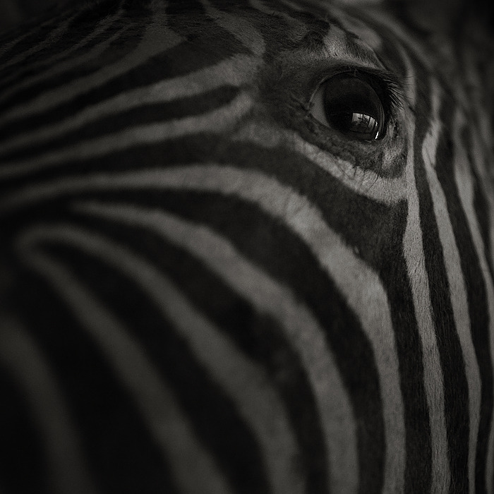 Archillect ID 169544