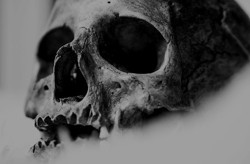 Archillect ID 169666