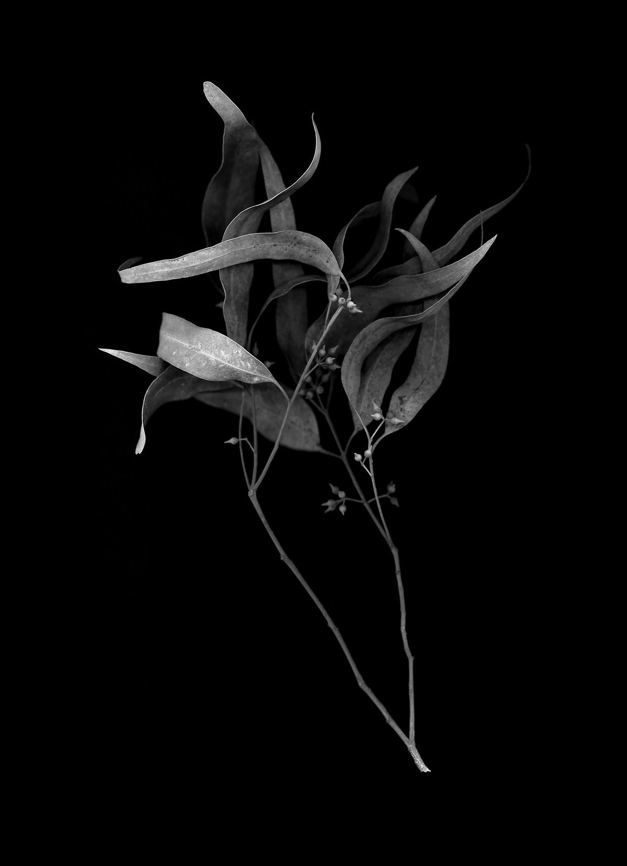 Archillect ID 170159