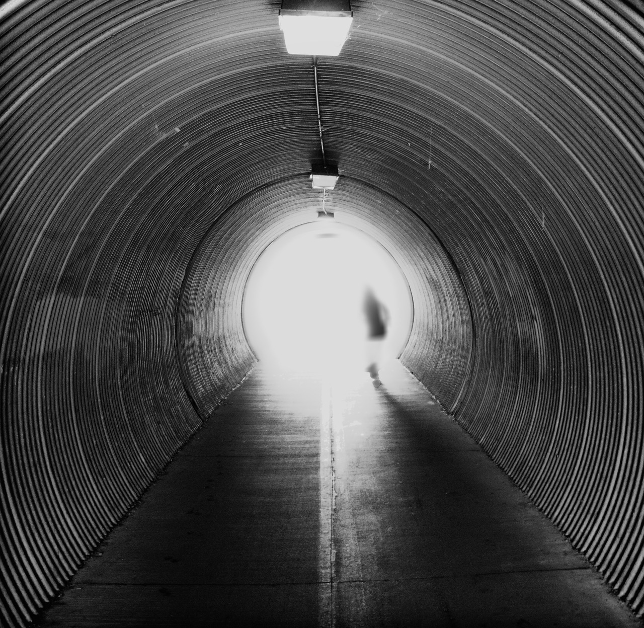 Archillect ID 170536
