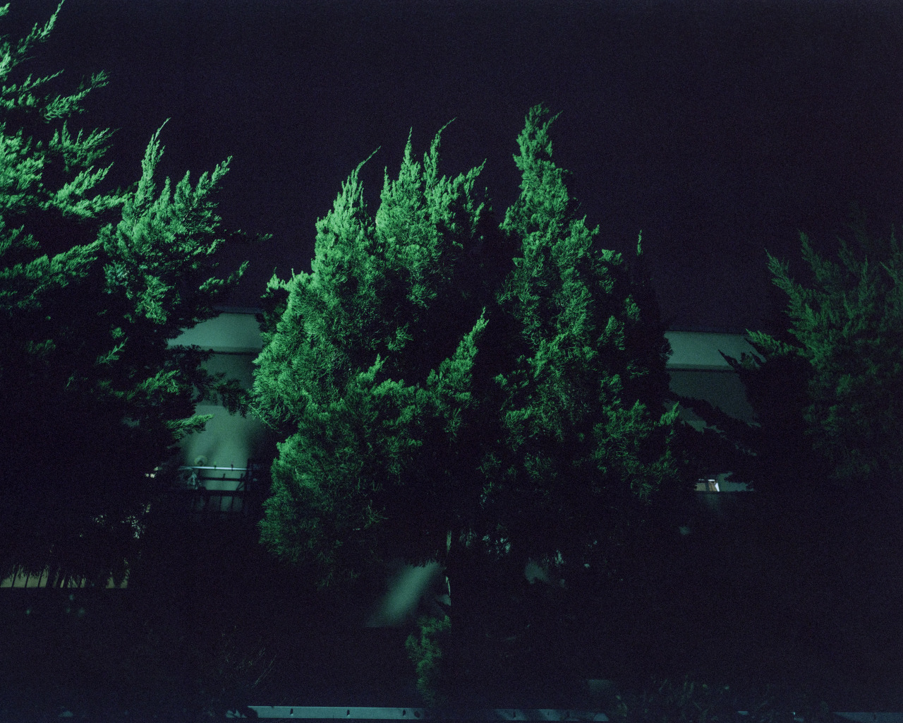 Archillect ID 170699