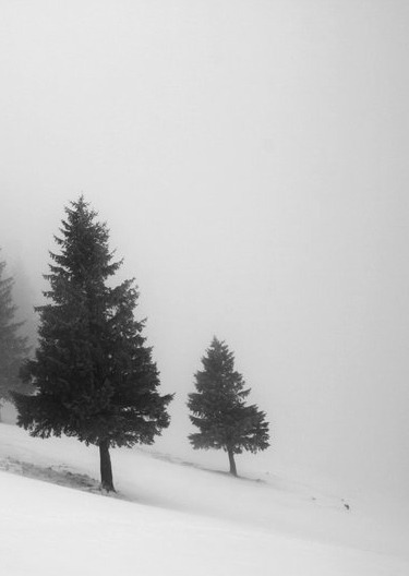 Archillect ID 170789