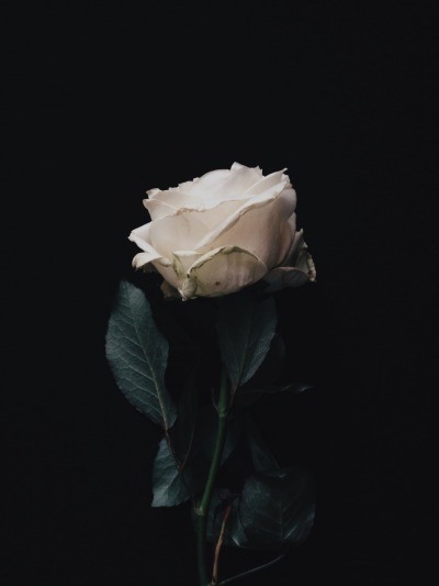 Archillect ID 170859