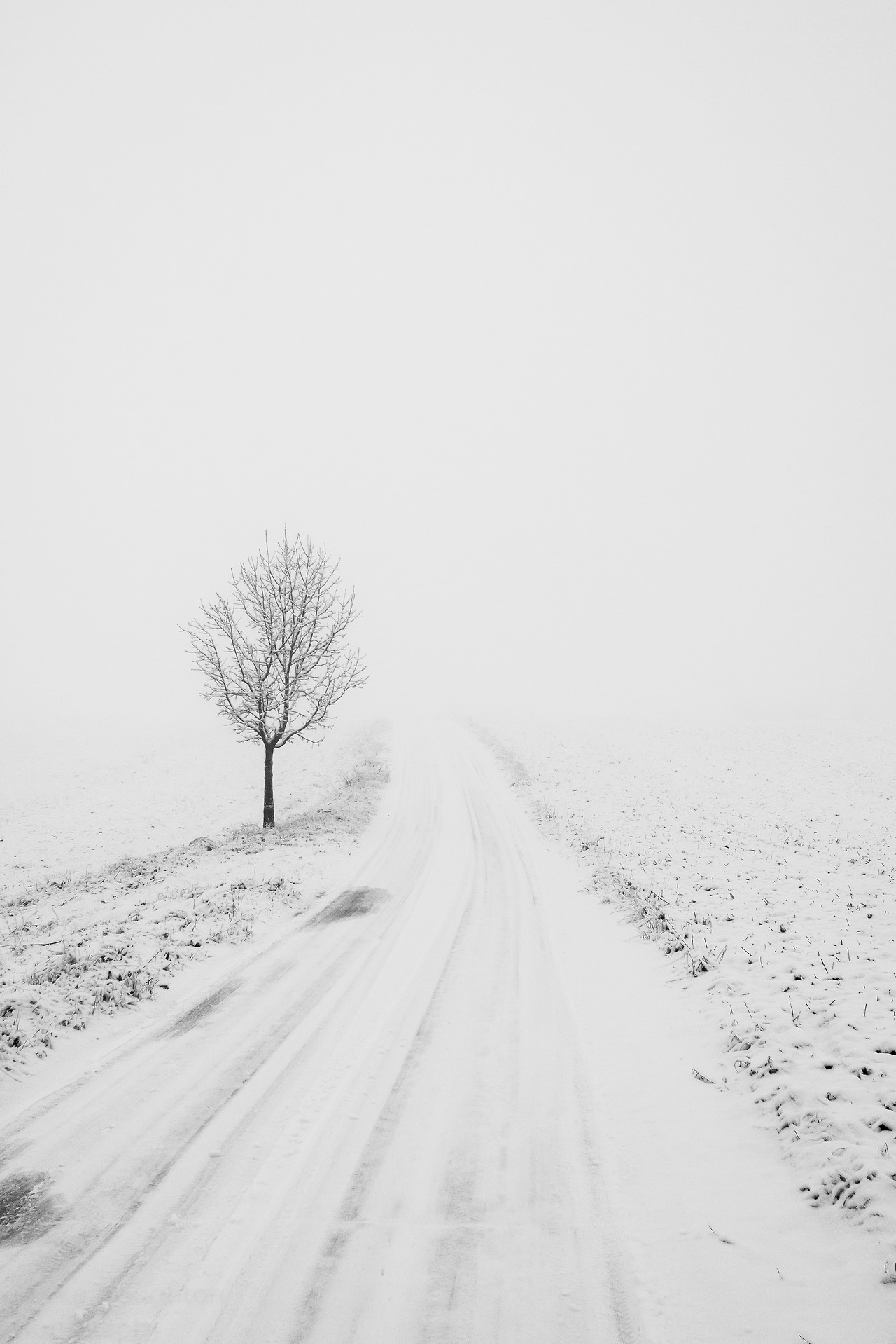 Archillect ID 171009