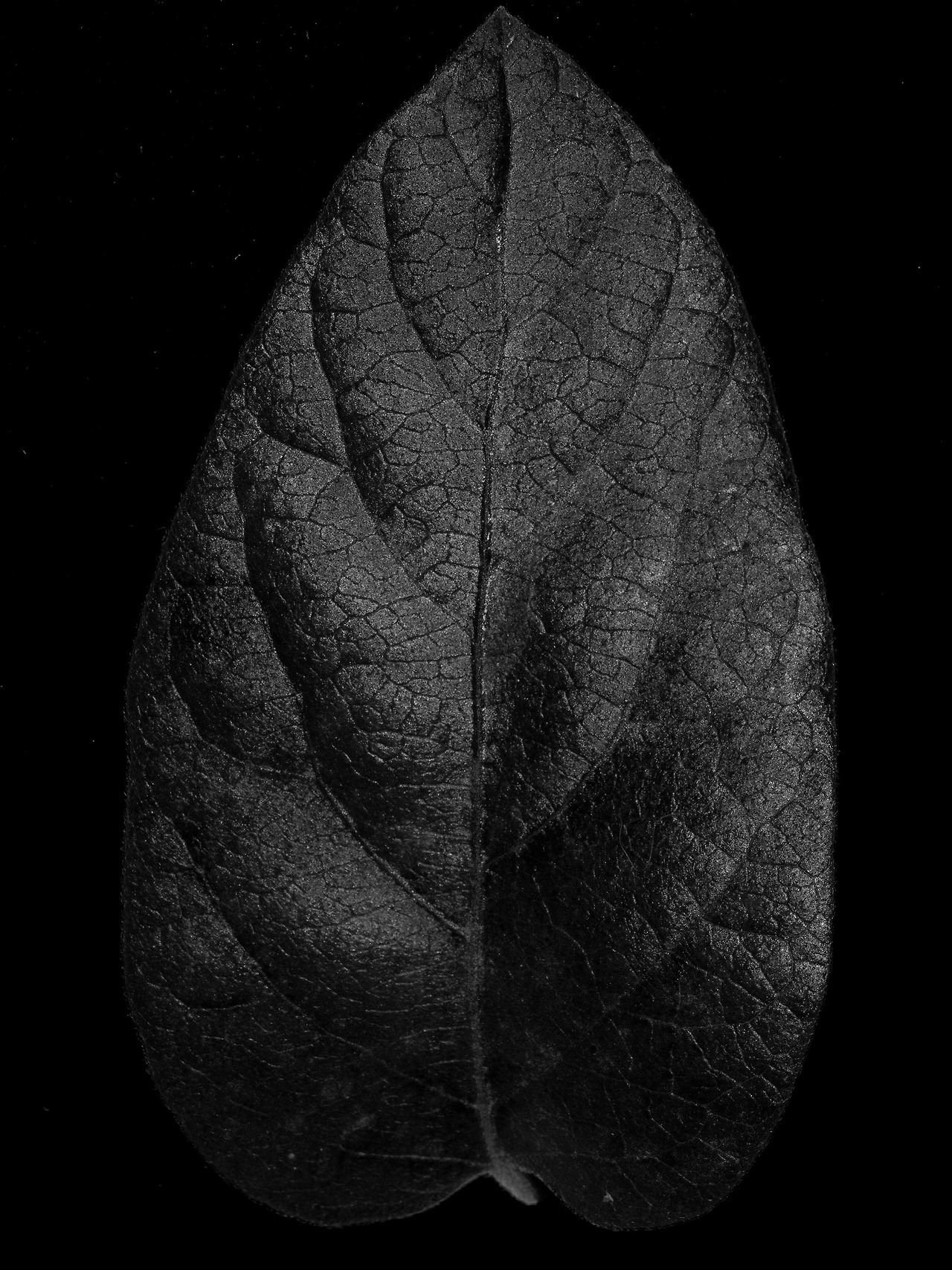 Archillect ID 171538