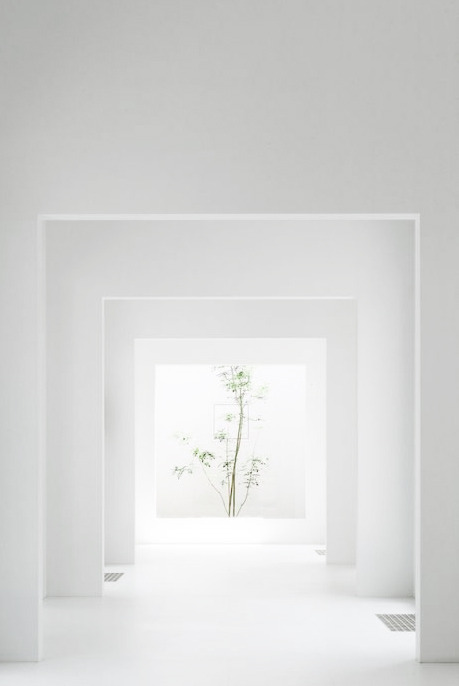 Archillect ID 171704