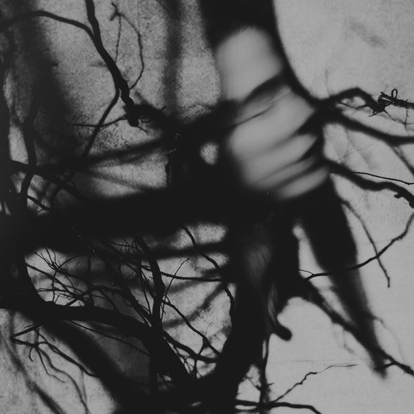 Archillect ID 171763