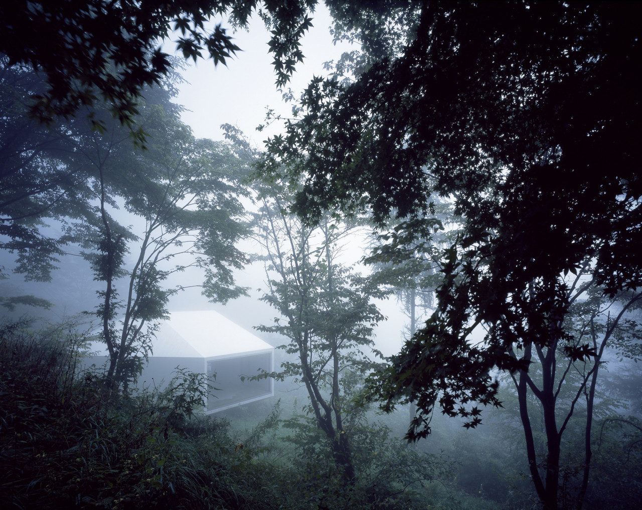 Archillect ID 172129