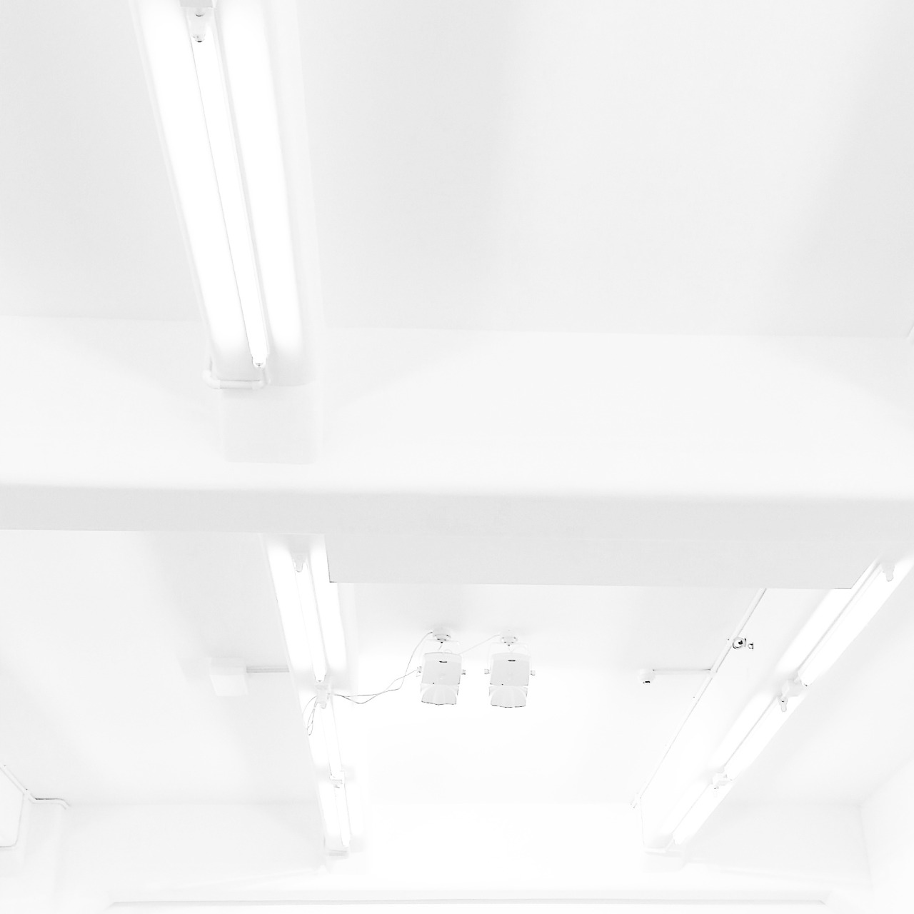 Archillect ID 172175