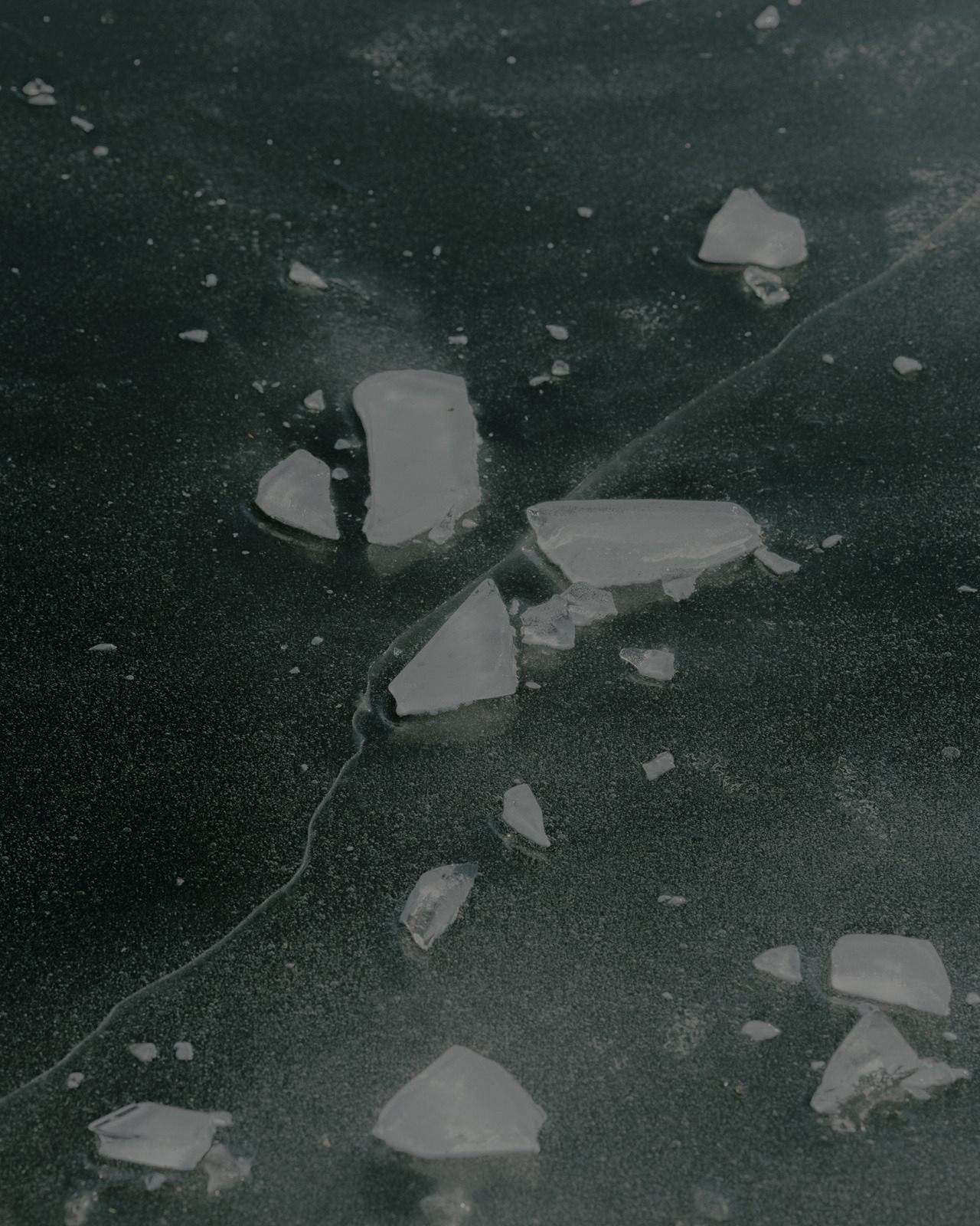 Archillect ID 172231