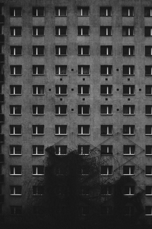 Archillect ID 172404
